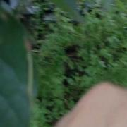 Release A Measuring Worm