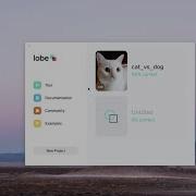 No Code Machine Learning Microsoft Tool Lobe AI Tutorial Deep Learning