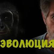 Эволюция человека Теория Дарвина От австралопитека до человека разумного