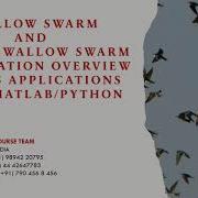 SWALLOW SWARM AND BINARY SWALLOW SWARM OPTIMIZATION OVERVIEW ITS APPLICATIONS USING MATLAB PYTHON