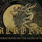 Moss Covered Bones On The Altar Of The Moon