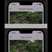 Medium And Large AppBar