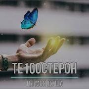 ТЕ100СТЕРОН ТЫ МОЯ ДУША Текст песни