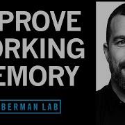 Tools To Enhance Working Memory Attention