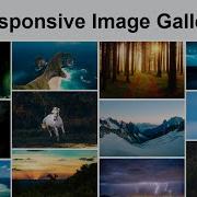 Create Responsive Image Gallery Using HTML CSS And JavaScript