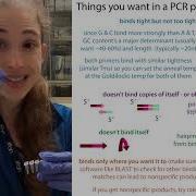 Tips For Increasing Your PCR Specificity Decrease Nonspecific Product Formation