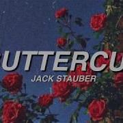 Jack Stauber Buttercup Lyrics