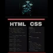 Using HTML And CSS Create A Beautiful Flower Codet Htmlcss Project Code Programmer Codinglife