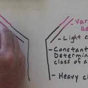 Antibody Structure Function