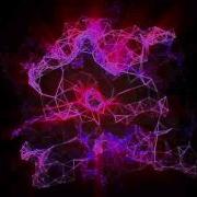 Plexus Experiment
