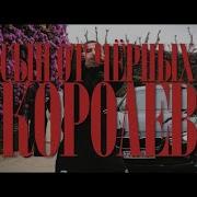 ICEGERGERT Сын от черных королев Son Of Black Queens ENGLISH SUBTITLES
