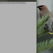 Mininet WiFi Working With Mobility And Graphs