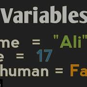 Python Variables Explained Beginner Friendly Tutorial In English 2025