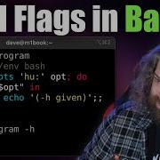 Crash Course In Using Getopts To Parse Command Line Arguments In Bash