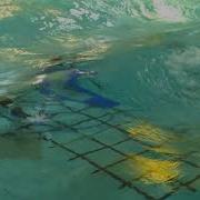 TEC Array In Opposing Waves At Flowave Test Facility