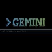 이거 보고 커서에디터 삭제했다 Gemini CLI