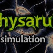 Physarum Simulation Experiments With The Algorithm