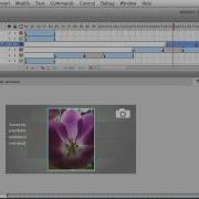How To Adjust Timeline View Options Animation Timing In Adobe Flash