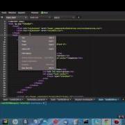 AngularJS Controllers And Directives