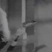 VIXEN Love Is A Killer Music Video