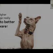 Maurício Aniche How Code Coverage Can Be Used And Abused To Guide Testing