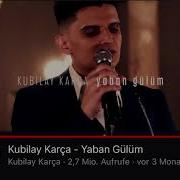 Kubilay Karça Yaban Gülüm Audio