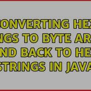 Converting Hex Strings To Byte Arrays And Back To Hex Strings In Java