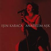 Aramıza Yollar