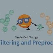 Single Cell Orange 04 Data Filtering Preprocessing