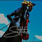 Stitches Ladybug X Chat Noir