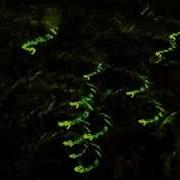 Multicolored 3d Particles With Vvvv Test