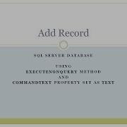 1 ExecuteNonQuery Example AddNewRecord