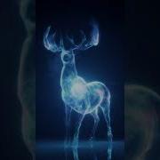 Patronus With Houdini Houdini Vfx Particles Simulation 3d Tutorial
