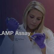RT LAMP Assay For Zika Virus And Housekeeping Genes Protocol Preview