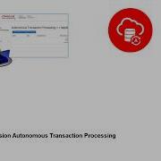 Provision Autonomous Transaction Processing