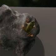 Unity Frog Procedural Animation 2 Climbing Swimming