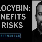 How Psilocybin Can Rewire Our Brain Its Therapeutic Benefits Its Risks