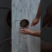 How To Hang A Pot With A Rope Easy And Stylish