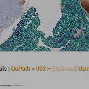 CIF Tutorial QuPath 003 Using Stardist With QuPath Built From Source On Windows