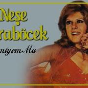 Neşe Karaböcek Demiyom Mu