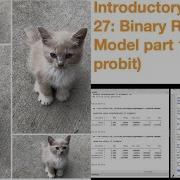 Introductory Stata 27 Binary Response Model Part 1 Logit Probit