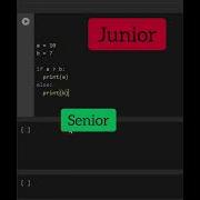 Junior Vs Senior Python Developer Shorts Python Programming Coding