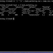 Change Column Delimiters With Unix Tr Sed And Perl Commands