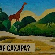 Что творилось в Сахаре История главной пустыни планеты Redroom