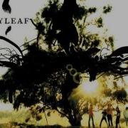 Again Flyleaf Male Version