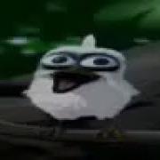 Screaming Bird Meme WARNING EAR RAPE