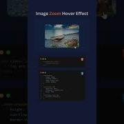 Image Zoom Hover Effect HTML CSS Css Html Tutorials