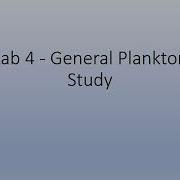 Lab 4 General Plankton Study