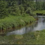 Bedrich Smetana Song Op 2 No 2 Clark Bryan Piano