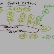Complement Control Proteins